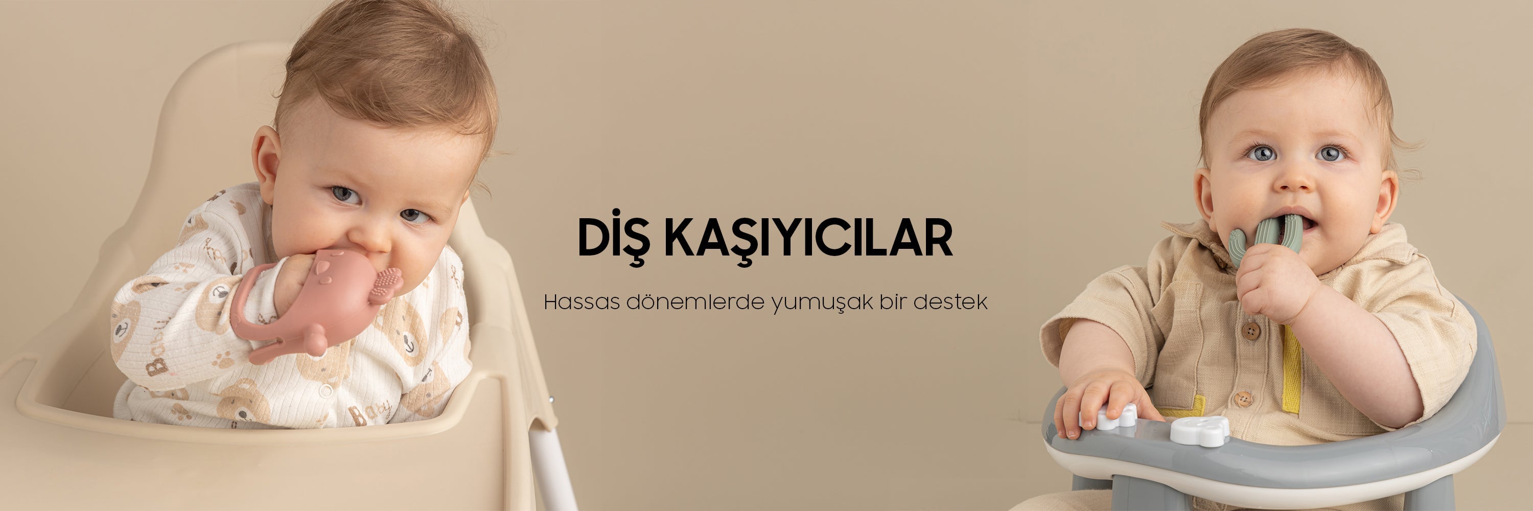 Diş Kaşıyıcılar